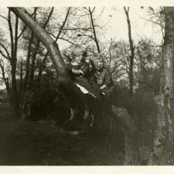 Two young girls sit on a branch of a tree.