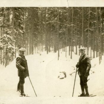 Two men skiing in the snowy woods.