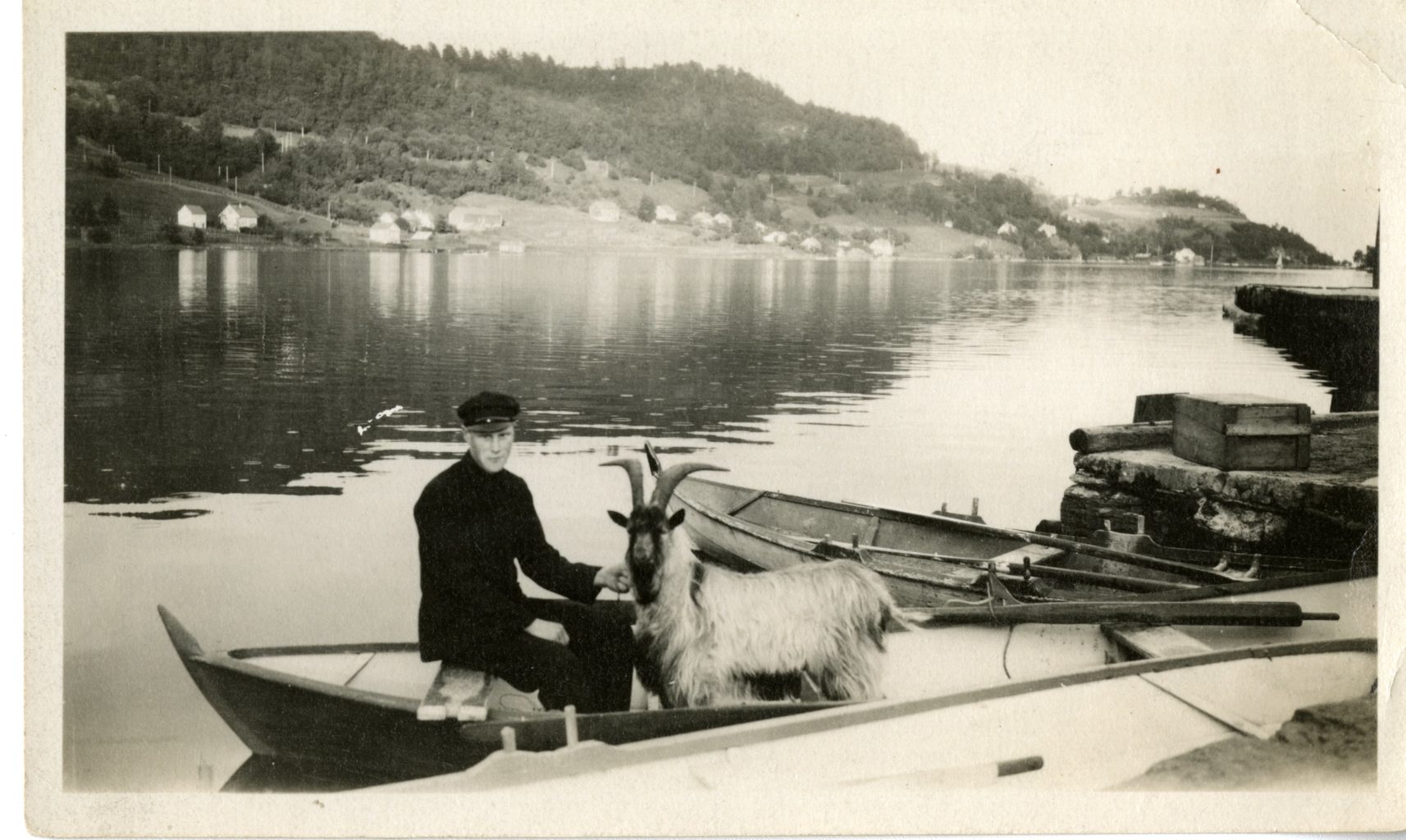 Man in a boat holds a goat. Town in the background on coast.