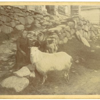 Two young girls sit on rock wall with goat, Midtgarden.