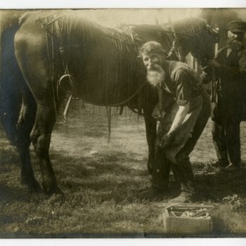 Ole and Halvor work on a horse.