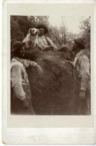 Three men and dog sit/stand on pile of hay.