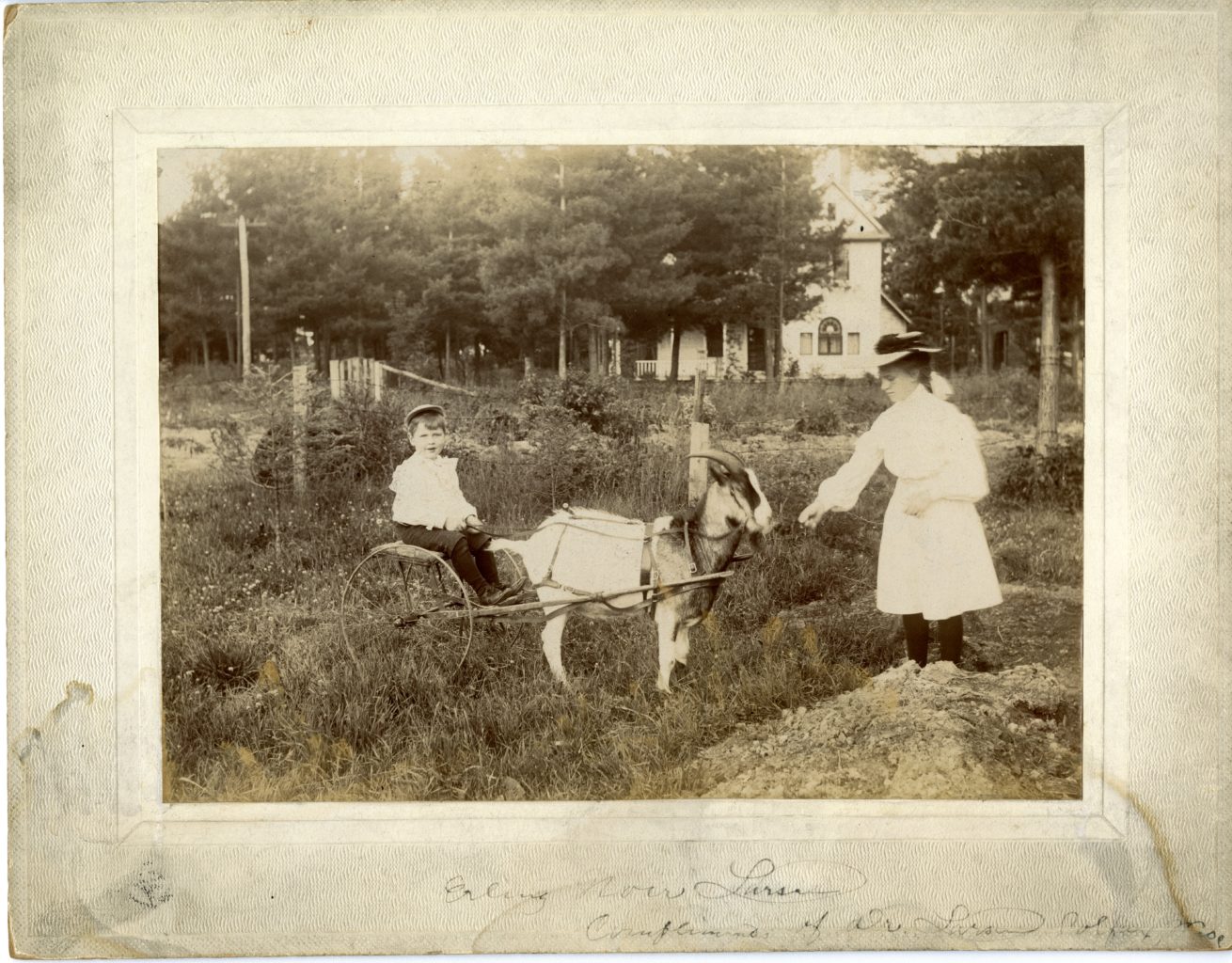Two children, young boy riding in carriage behind goat and girl is feeding it, both are dressed nicely.