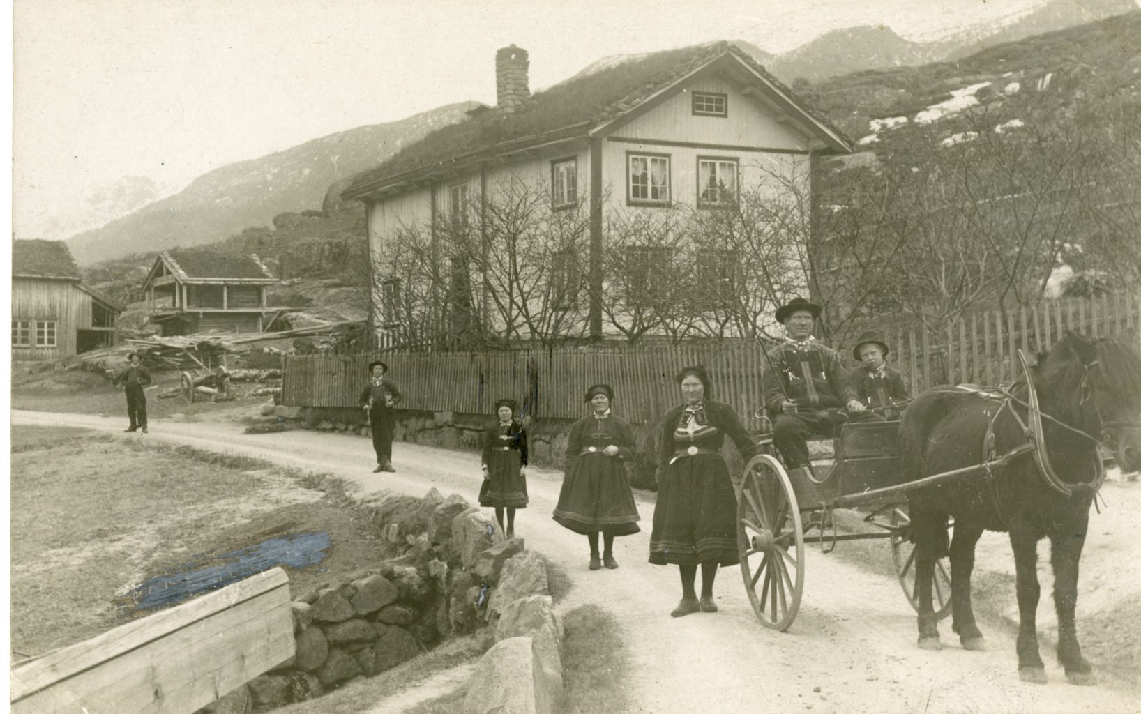 Three women and boy stand behind a man and boy in horse and carriage on road in Setesdal.