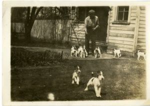 A man and eight terriers.