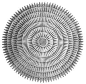 Plate © 2002 Miles Lund Plate © 2002 Miles Lund